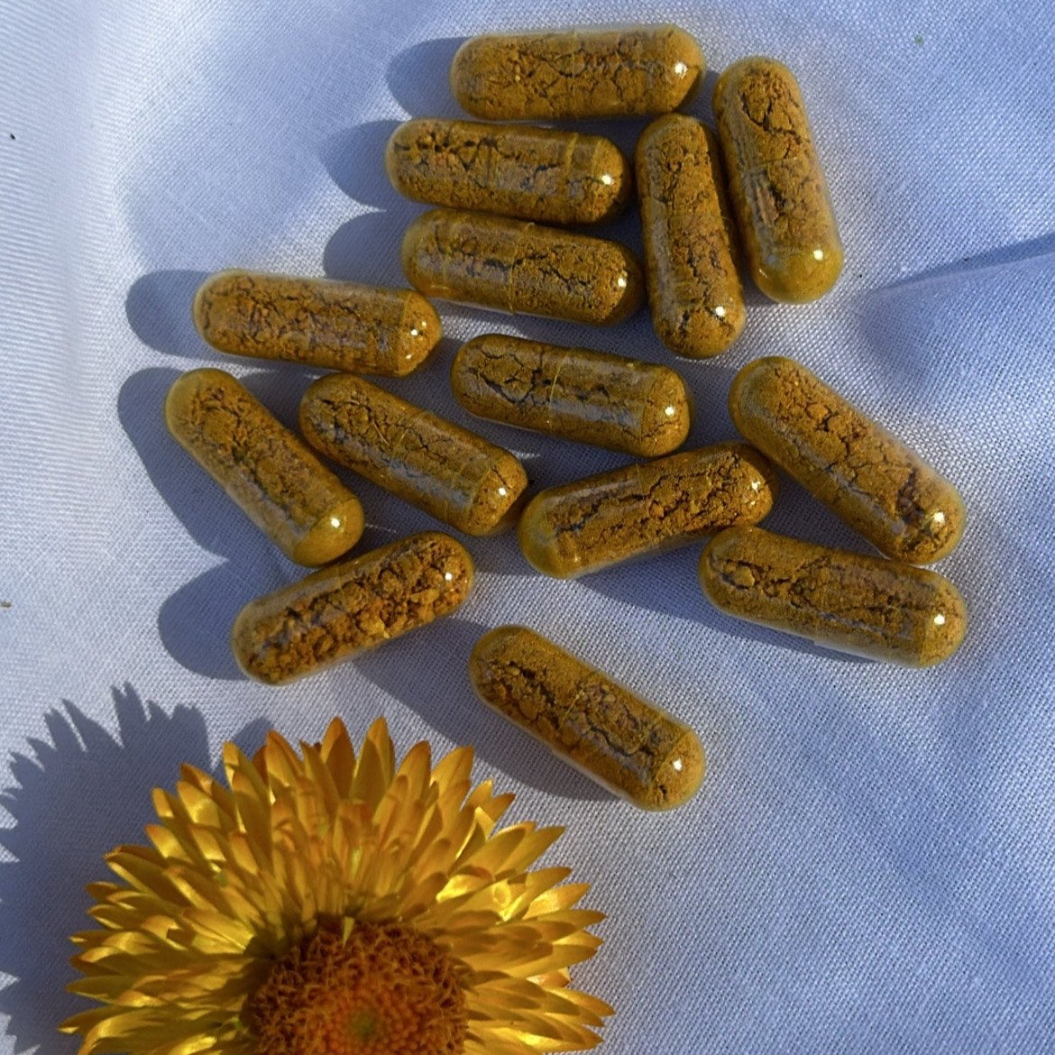 Capsules / Turmeric + Ginger
