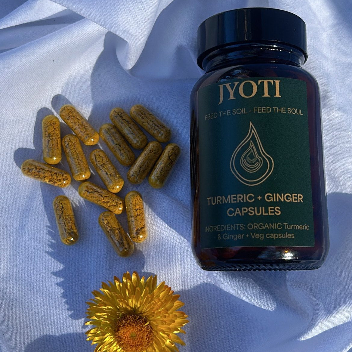 Capsules / Turmeric + Ginger